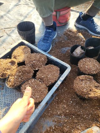 김영진(전남영광)님의 기타작물 · 자유게시판 작성글 사진