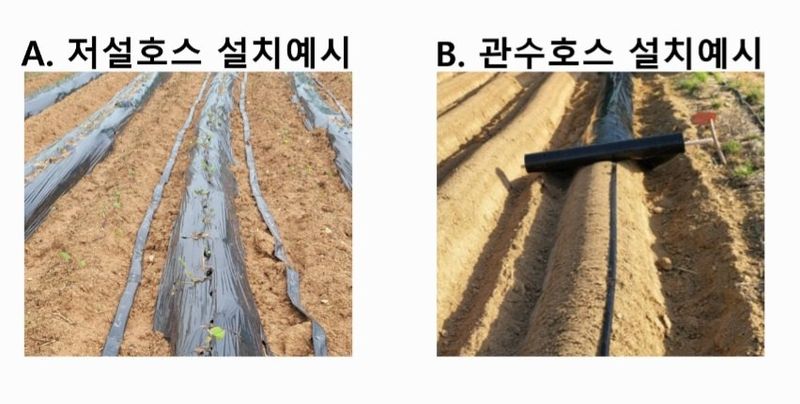 한농농약종묘사님의 장터 판매 상품 [분수호스, 관수호스, 저설호스] 첨부 사진