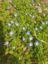 팜모닝 자유주제·자유게시판 게시글 이미지