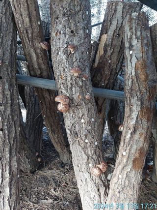 황대헌님의 3월 내 작물 자랑하기 · 참여글 작성글 사진