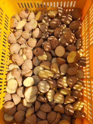 김영복님의 자유주제 · 자유게시판 작성글 사진