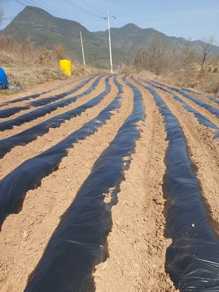 김영복님의 자유주제 · 자유게시판 작성글 사진