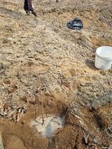 팜모닝 자유주제·자유게시판 게시글 이미지