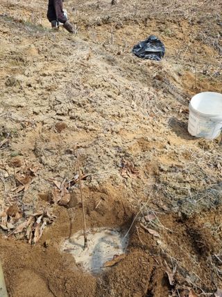 그린1505님의 자유주제 · 자유게시판 작성글 사진