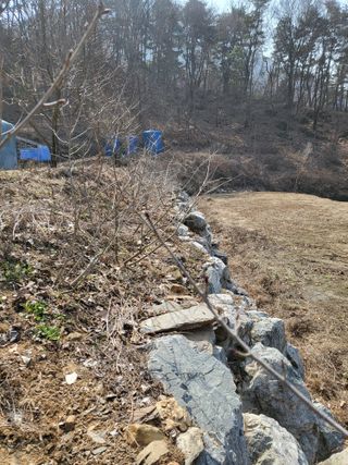 대운이네농원님의 3월 내 작물 자랑하기 · 참여글 작성글 사진