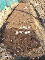 팜모닝 상추·영농일지 게시글 이미지