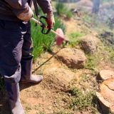 팜모닝 자유주제·자유게시판 게시글 이미지