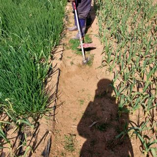 순덕님의 자유주제 · 자유게시판 작성글 사진