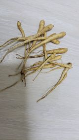 팜모닝 자유주제·자유게시판 게시글 이미지