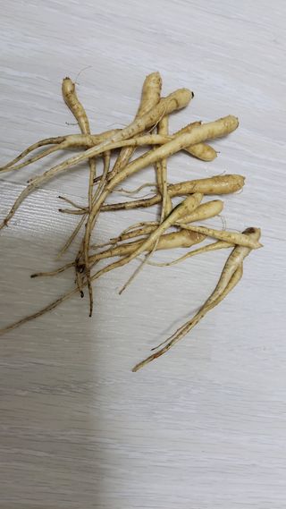 대파16548님의 자유주제 · 자유게시판 작성글 사진