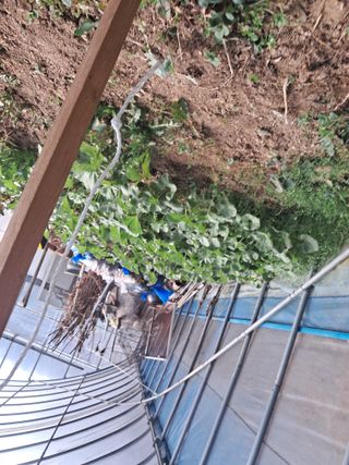 최한기님의 3월 내 작물 자랑하기 · 참여글 작성글 사진