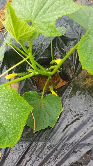 김인선님의 자유주제 · 자유게시판 작성글 사진