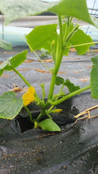 김인선님의 자유주제 · 자유게시판 작성글 사진