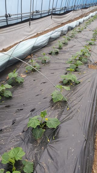 김인선님의 자유주제 · 자유게시판 작성글 사진