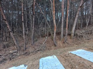 박일석님의 기타작물 · 영농일지 작성글 사진