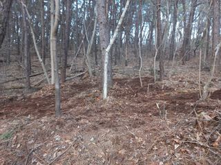 박일석님의 기타작물 · 영농일지 작성글 사진