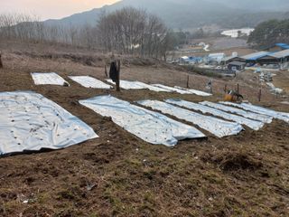 박일석님의 기타작물 · 영농일지 작성글 사진