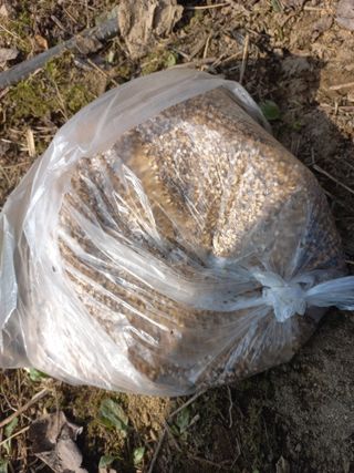 박일석님의 기타작물 · 영농일지 작성글 사진