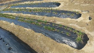 김동일님의 자유주제 · 자유게시판 작성글 사진