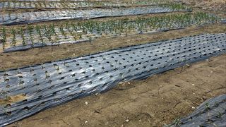 김동일님의 자유주제 · 자유게시판 작성글 사진