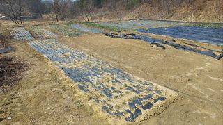 김동일님의 자유주제 · 자유게시판 작성글 사진