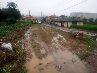 운우상님의 팜모닝 · 출석 작성글 사진