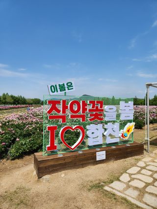 토마토17286님의 3월 내 작물 자랑하기 · 참여글 작성글 사진