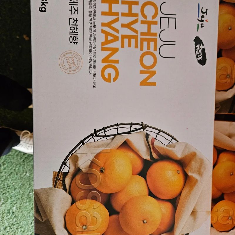 이승철님의 장터 판매 상품 [천혜향5kg] 첨부 사진