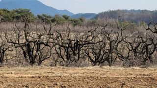 주)미산 조전무님의 자유주제 · 자유게시판 작성글 사진