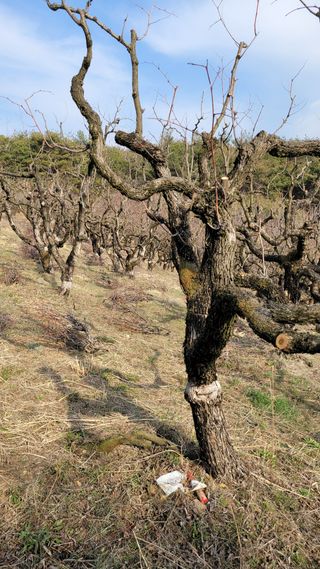 주)미산 조전무님의 자유주제 · 자유게시판 작성글 사진