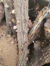 팜모닝 자유주제·자유게시판 게시글 이미지