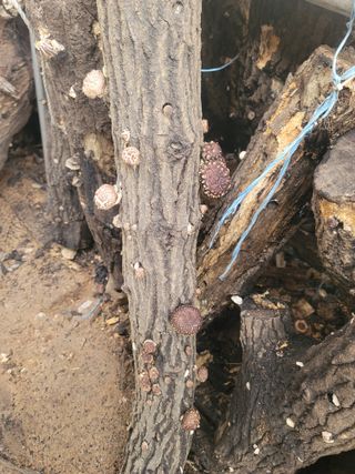 양금님의 자유주제 · 자유게시판 작성글 사진