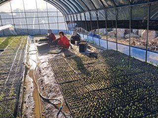 김종덕님의 두릅 · 일상 작성글 사진