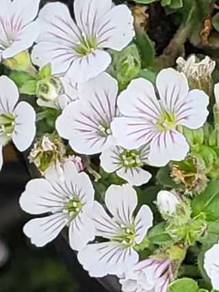 행운농부님의 자유주제 · 자유게시판 작성글 사진