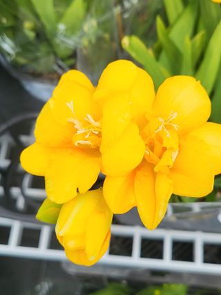 행운농부님의 자유주제 · 자유게시판 작성글 사진