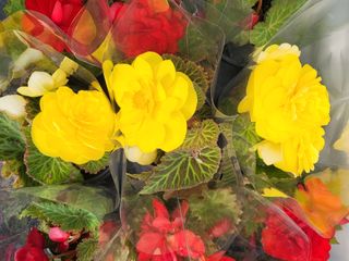 행운농부님의 자유주제 · 자유게시판 작성글 사진