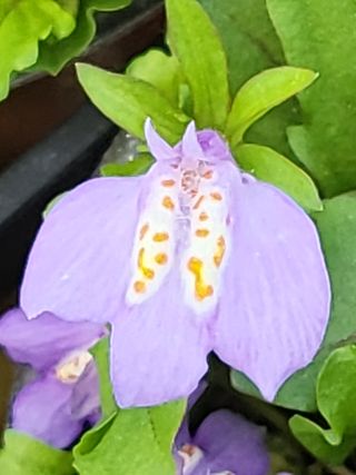 행운농부님의 자유주제 · 자유게시판 작성글 사진