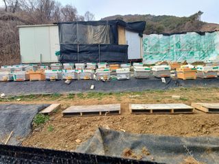 피로할때 천년꿀차,님의 자유주제 · 건의해요 작성글 사진