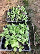 팜모닝 자유주제·자유게시판 게시글 이미지