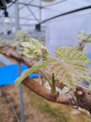 정이오가네농원님의 자유주제 · 자유게시판 작성글 사진