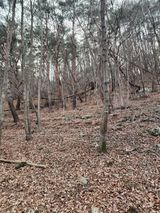 팜모닝 자유주제·자유게시판 게시글 이미지