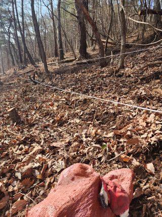 배추12035.부남님의 자유주제 · 자유게시판 작성글 사진