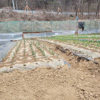 박기식 님의 자유주제 · 자유게시판 작성글 사진