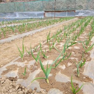 박기식 님의 자유주제 · 자유게시판 작성글 사진