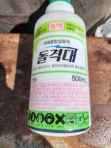 팜모닝 복숭아·영농일지 게시글 이미지