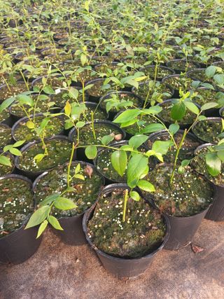 하늘농원님의 자유주제 · 자유게시판 작성글 사진