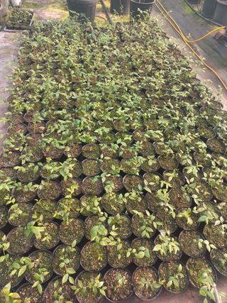 하늘농원님의 자유주제 · 자유게시판 작성글 사진