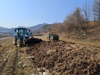 음두임님의 옥수수 · 영농일지 작성글 사진