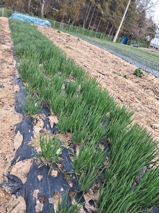 윤문옥님의 자유주제 · 자유게시판 작성글 사진