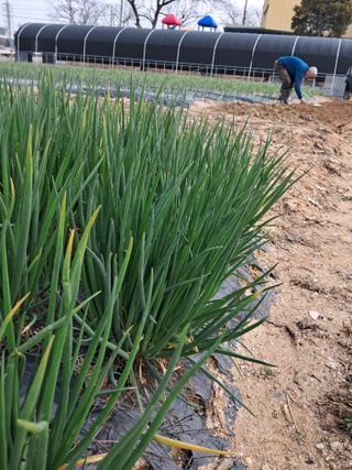 윤문옥님의 자유주제 · 자유게시판 작성글 사진